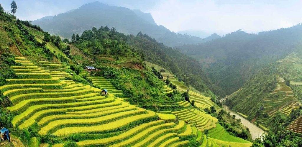ruong bac thang