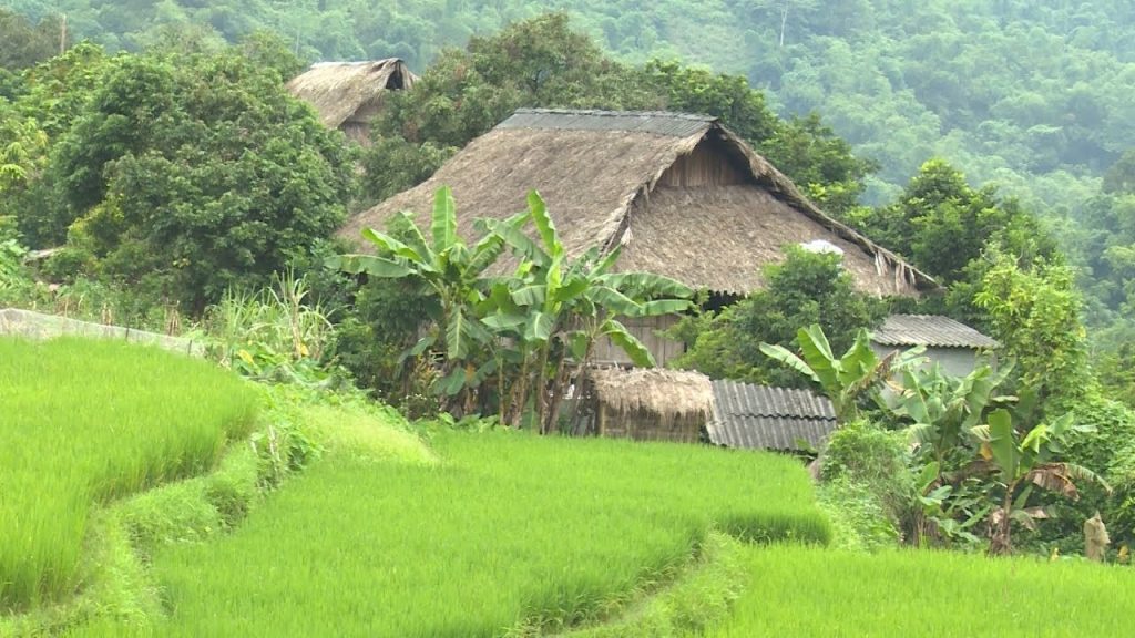 bản giang mỗ hòa bình