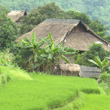bản giang mỗ hòa bình