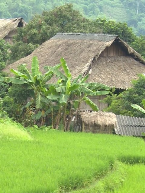 bản giang mỗ hòa bình