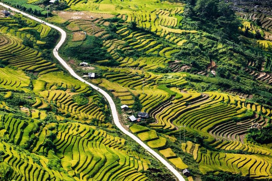 y tý lao cai
